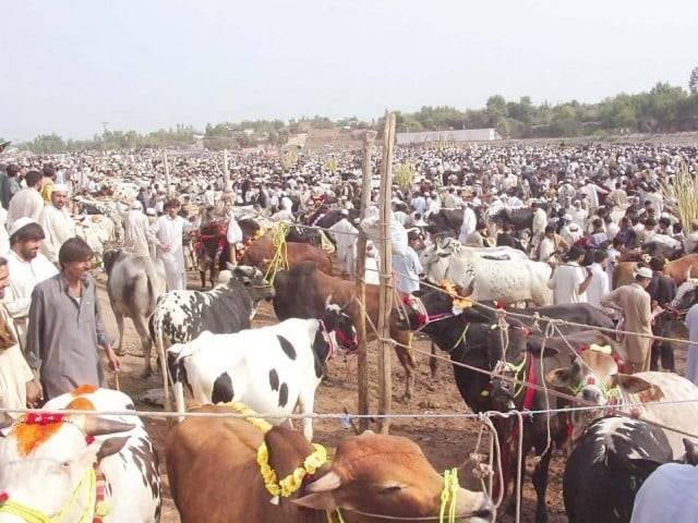 Eid-ul-Adha anticipated to boost Pakistan’s economy by over Rs 1 trillion in 2026